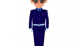 动漫警察,英勇无畏的守护者传奇