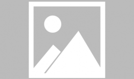 猫和老鼠动漫,欢乐闹剧中的智慧对决